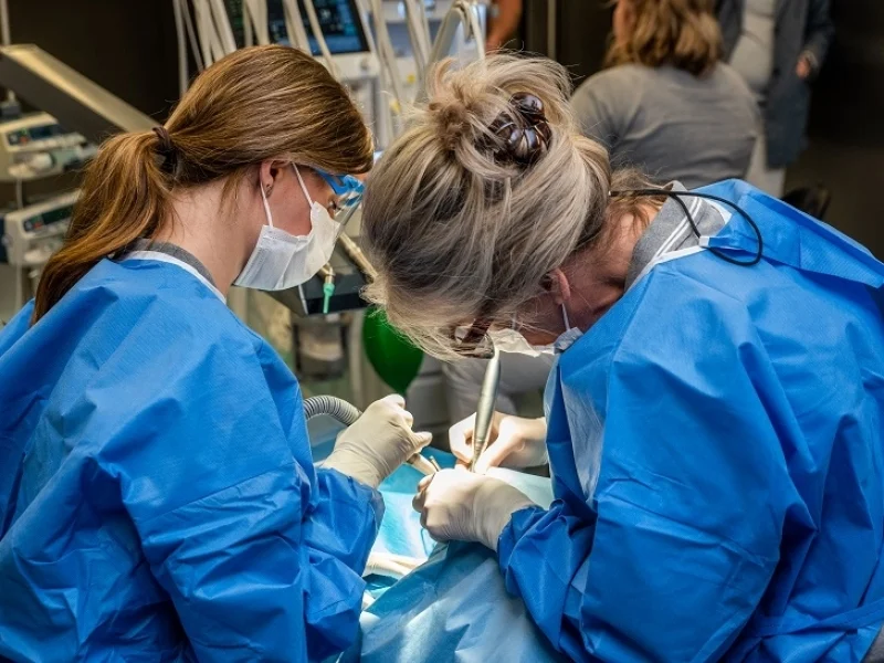 dokter gigi