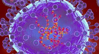 HMPV Virus Mewabah di China, Apa Gejalanya?