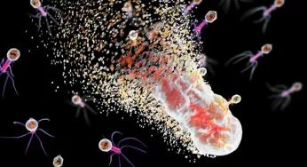 Superbugs: Ancaman Serius bagi Kesehatan Global