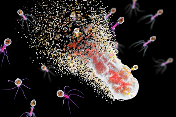 superbugs