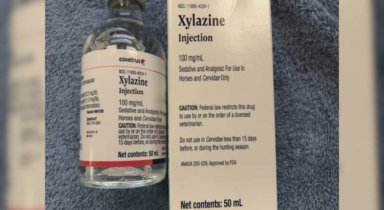 Bahaya Sedatif Veteriner Xylazine: Jenis Obat Untuk Penenang Hewan Beracun & Berbisa