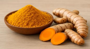 Manfaat Kunyit Untuk Penyakit Neurodegeneratif, Tips Pengobatan Bahan Alami
