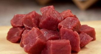 Apa Kata Dokter Tentang Konsumsi Daging Kambing untuk Penyakit Tertentu