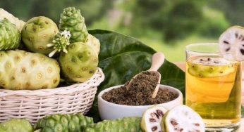 Cegah Penyakit Sejak Dini dengan Konsumsi Jus Mengkudu