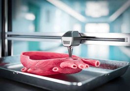 Bioprinting Organ