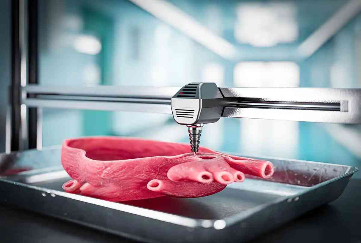 Bioprinting Organ