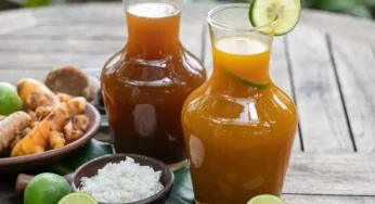 Jamu Tradisional Indonesia: Khasiat dan Cara Penyajian