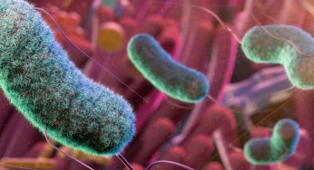 Medical Research: Bagaimana Mikrobioma Usus Pengaruhi Otak