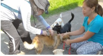 Jangan Ketinggalan Vaksinasi Rabies Gratis untuk Kucing Digelar di Jawa Timur
