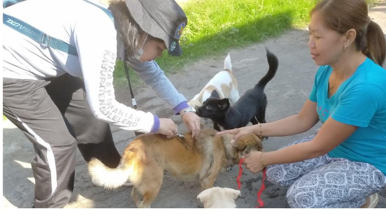 Vaksinasi Rabies