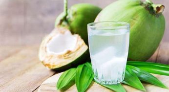 Air Kelapa Disebut Bisa Cegah Batu Ginjal, Ini Penjelasan Ilmiahnya dari IPB