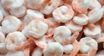BPOM RI Angkat Suara Soal Isu Udang Terkontaminasi Radioaktif